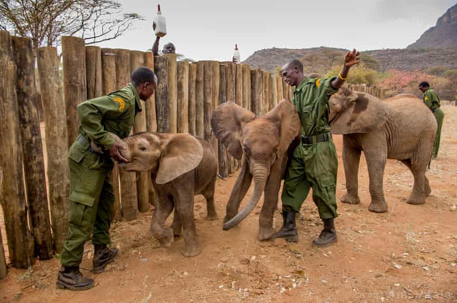 Reteti Elephant Sanctuary