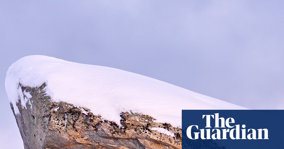 The Puma by Daniel Wiles review – a visceral tale of cyclical violence
