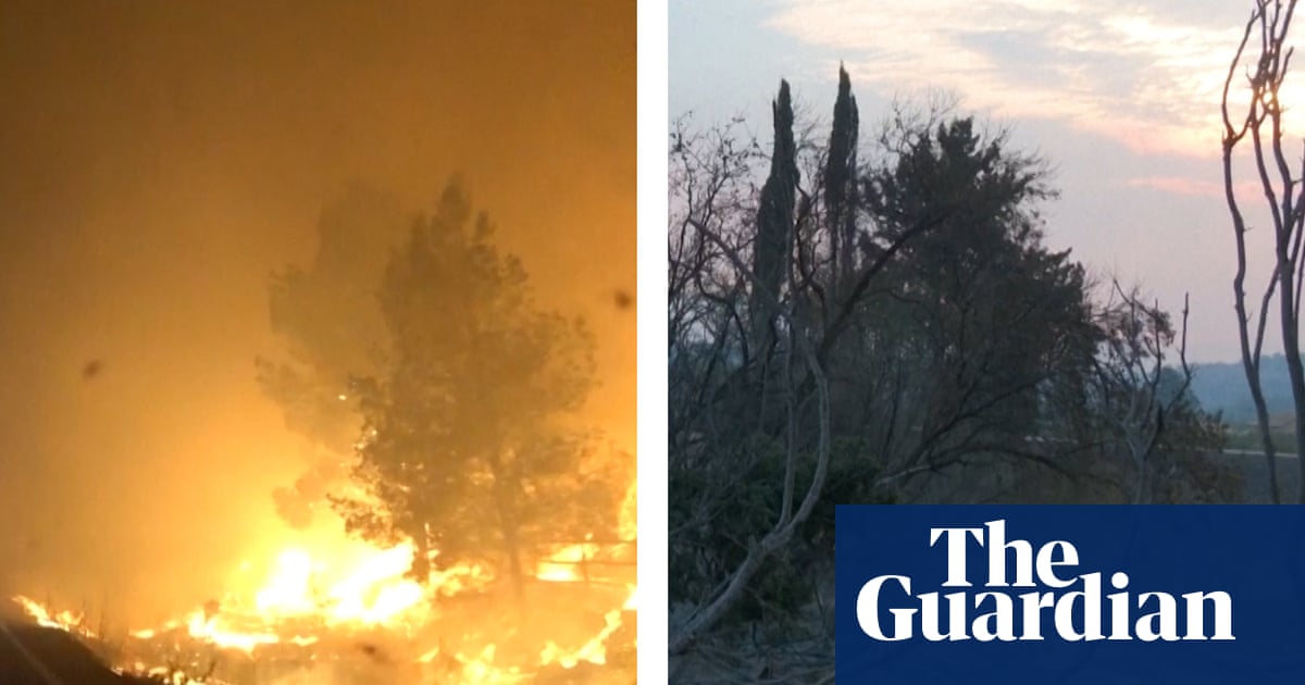 ‘A lot of fear and crying': residents in Catalonia assess wildfire damage – video