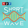 ‘As ambitious as they come’ ... Shortwave podcast on NPR