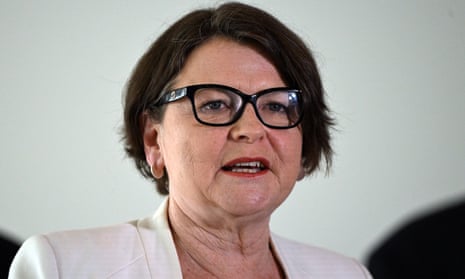 ‘No one would believe me’: Labor launches women’s health council to ...