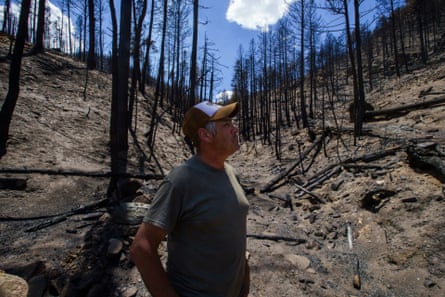 A man wearing a brown trucker hat and T-shirt stands in a dry creek bed looking up at scorched trees.