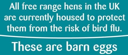Free-range eggs unavailable in Britain from Monday | Bird flu ...