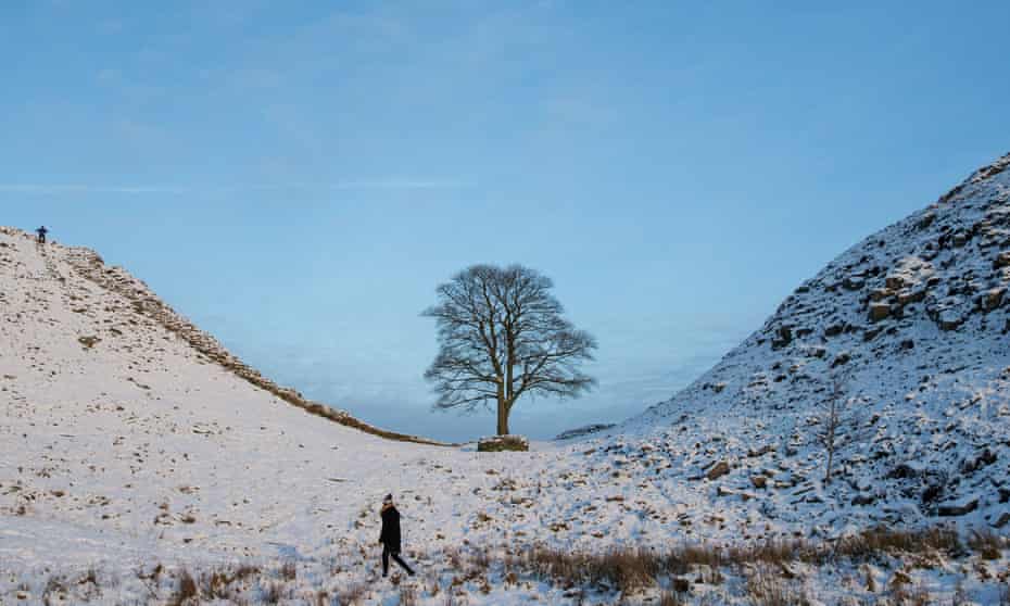 Sycamore Gap on Hadrian's Wall, North Pennines.