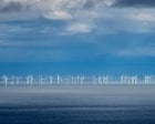 Cost of balancing Great Britain’s power grid reaches nearly £50m a day