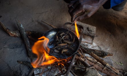 A man cooks mopane worms using firewood at his homestead in Bulawayo, Zimbabwe.
