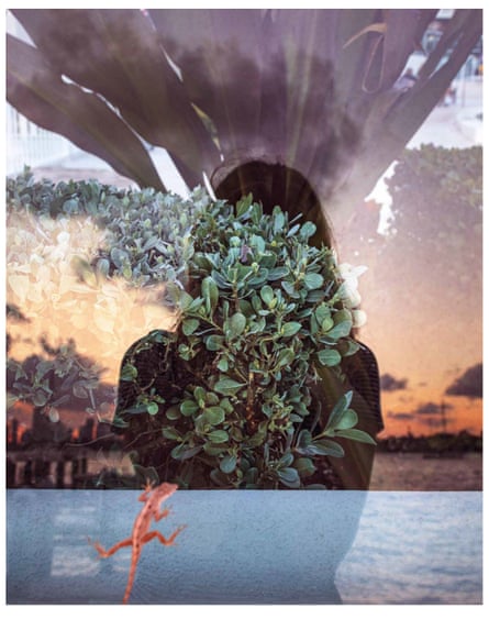 Image of a woman in front of a beach sunset, with images of plants and a lizard superimposed