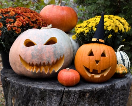 Pumpkins on display, including two carved for Halloween