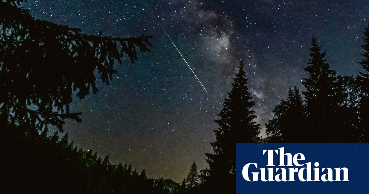 Meteorite Recovery Efforts Stall Amidst New Zealand Challenges