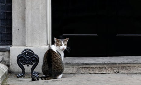 A cat - a live one - Larry, who lives at Number 10