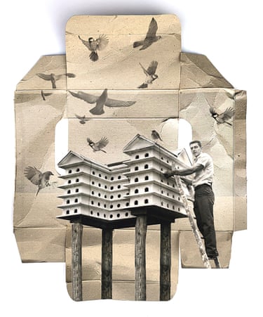 A man on a ladder tends to a birdhouse on stilts with birds flying above him
