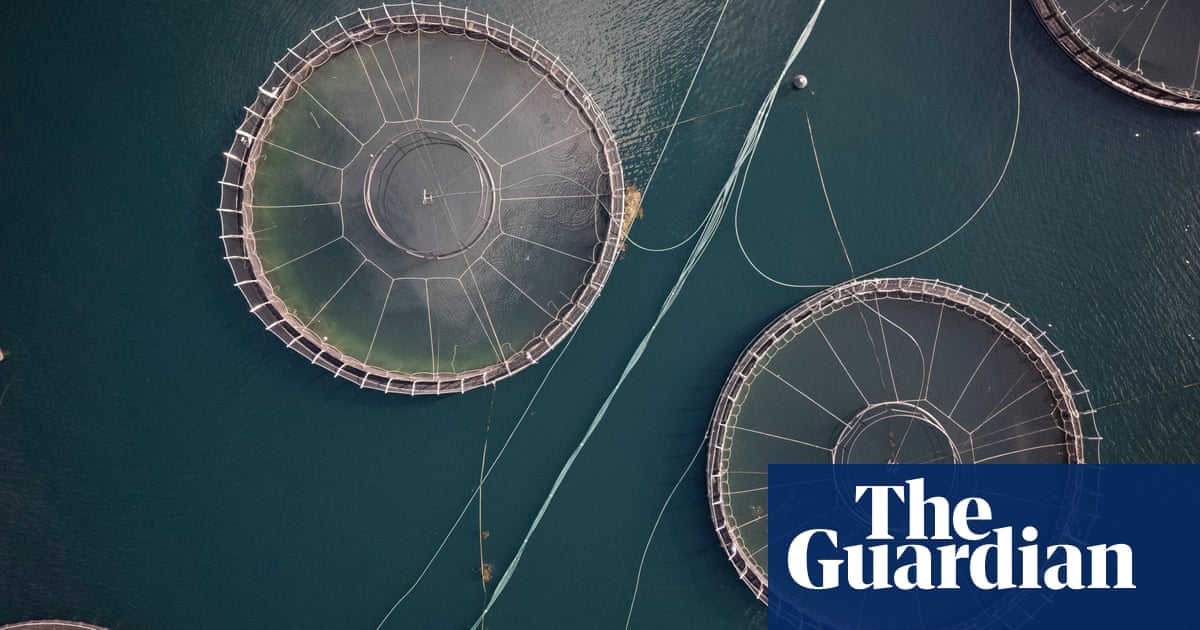 Albanese sparks anger with pledge over controversial salmon farming in Macquarie Harbour | Tasmania Albanese sparks anger with pledge over controversial salmon farming in Macquarie Harbour | Tasmania