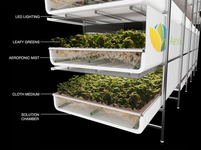 World S Largest Vertical Farm Grows Without Soil Sunlight Or