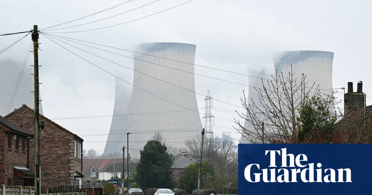 Burning wood for power worse for climate than gas equivalent, report finds