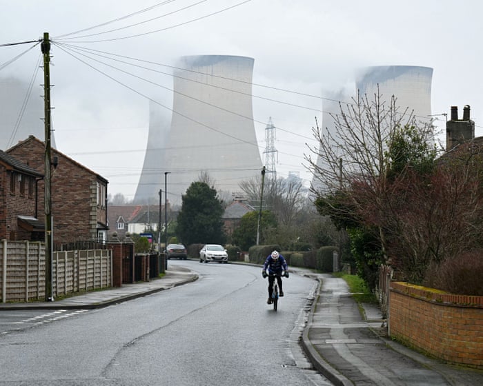 Burning wood for power worse for climate than gas equivalent, report finds