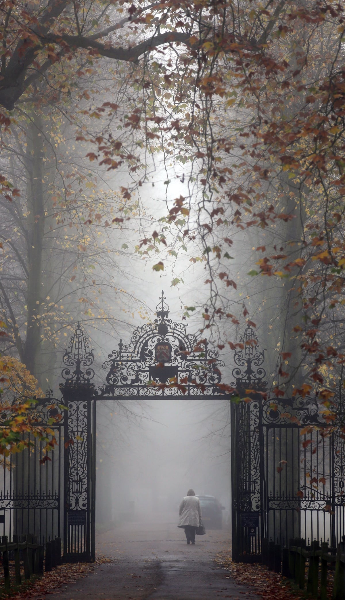 Fog blankets the UK – in pictures | UK news | The Guardian