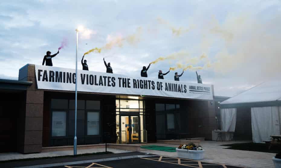 Activists from the Animal Justice Project (AJP) stood on the roof of Darlington Farmers Auction Mart holding banners and spraying coloured smoke flares.