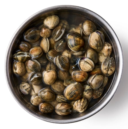 Clams soaking