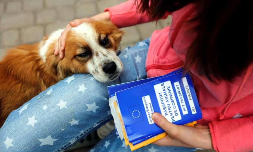 Ana-Maria Ciulcu, a Romanian, holds EU pet passports