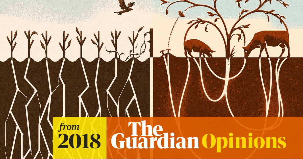 If you want to save the world, veganism isn't the answer | Isabella Tree |  The Guardian