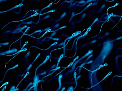 Research suggests that sperm counts have dropped by half in the last 50 years or so and that a higher percentage are poor swimmers.