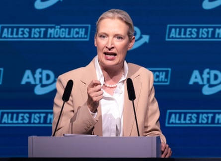 Alternative for Germany (AfD) co-leader Alice Weidel