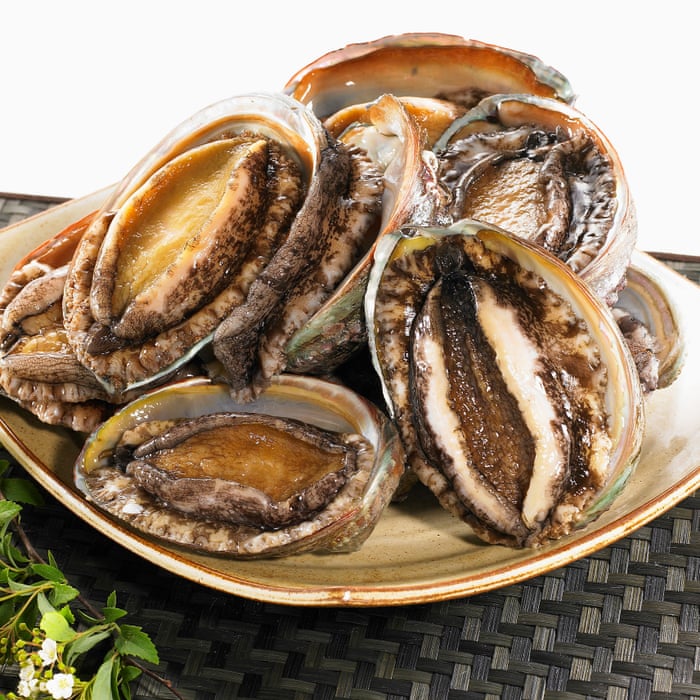 What is abalone