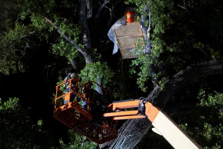 Workers stand inside lift and work on trees at night