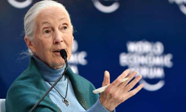 Primate expert Jane Goodall says humans are ‘finished’ if we do not alter our food habits following the pandemic.