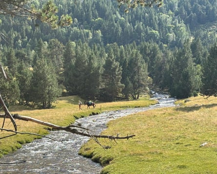 A flowing river, with fields and trees on either side