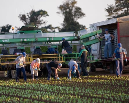 Farm workers in Suffolk.