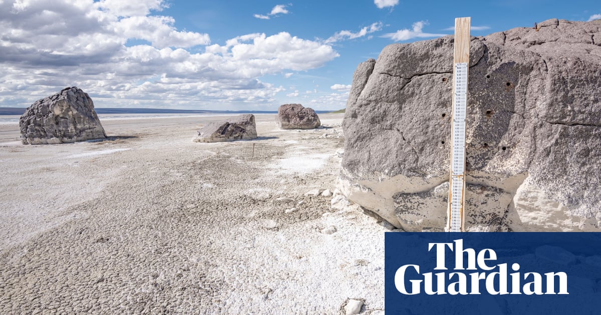 ‘On a razor’s edge’: migratory birds rely on this salt lake – but it’s dying | Conservation