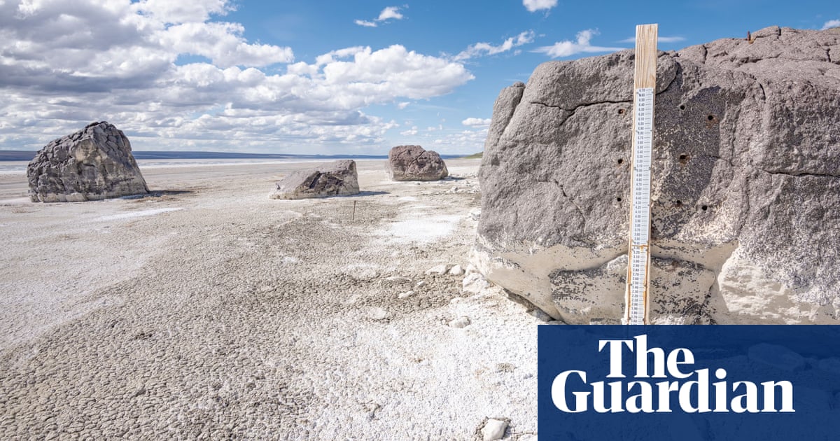 ‘On a razor’s edge’: migratory birds rely on this salt lake – but it’s ...