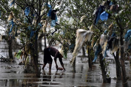 A plastic-strewn mangrove swamp in Vietnam in 2018.