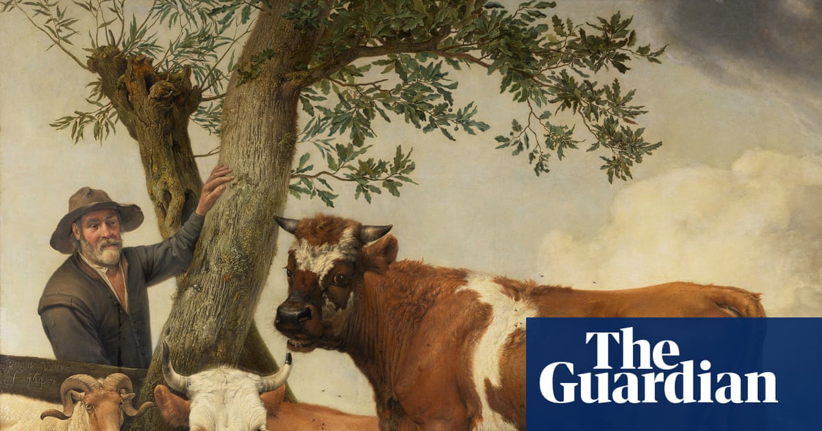 ‘Bigger and lower’: bull in Dutch painting once had much larger testicles