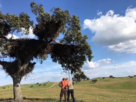 Two people standing under a tree in a rural landscape, one of them with a camera on the end of a long pole