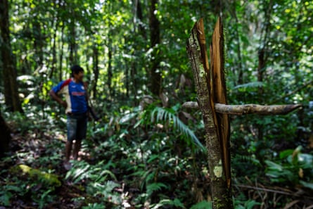Amazon's indigenous warriors take on invading loggers and ranchers