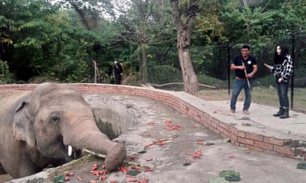 شر از یك فیل در یك باغ وحش در اسلام آباد پاكستان دیدن كرد.