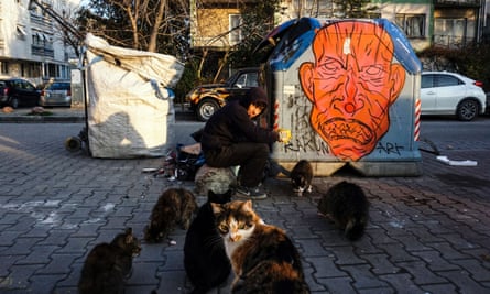 Cậu bé cho mèo ăn trên đường phố ở Istanbul.