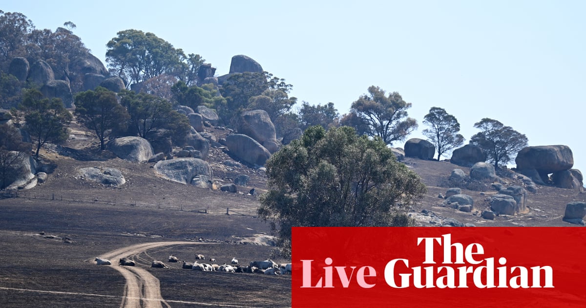 Australia news live: Victorian bushfires expected to burn for weeks; chair of Adelaide festival board resigns