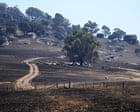 Australia news live: Victorian bushfires expected to burn for weeks; chair of Adelaide festival board resigns