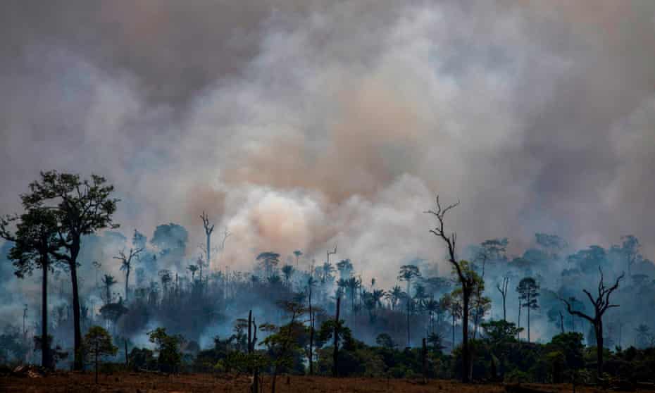 Smokes rises from forest fires in Altamira in August. Farm owners have scuffled with forest defenders in the Amazonian city.
