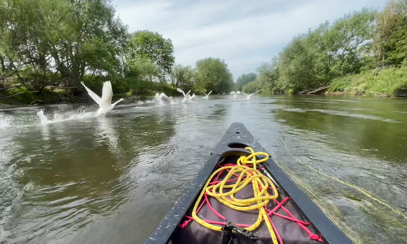 Swans take flight as Kevin Rushby paddles down the Severn