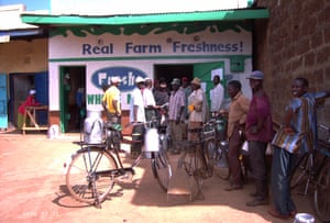 Githunguri Dairy Farmers’ Co-operative, Kenya.