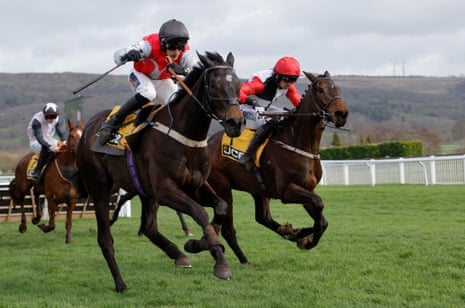 Minella Study (left) leads after the last hurdle but Apolon De Charnie, ridden by Patrick Mullins, (right) is coming up fast.