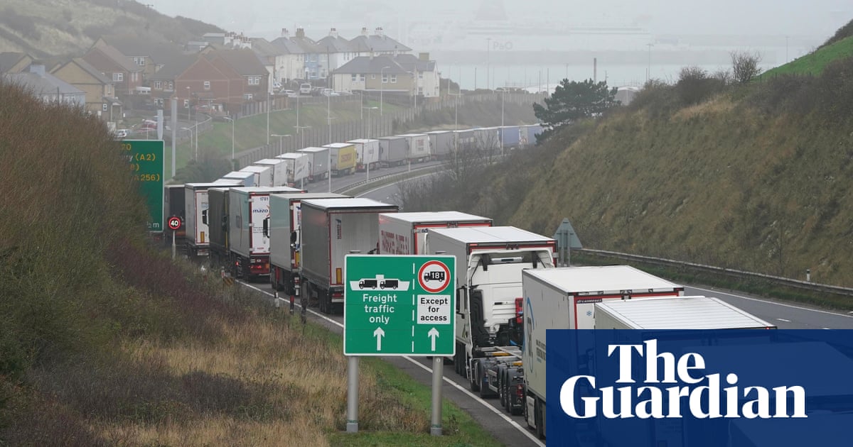 Passenger rush to beat French entry deadline causes long freight queues | UK news | The Guardian