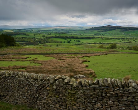 Rolling green landscape with a stonewall in foreground