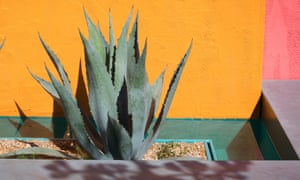 10 cosas que hemos aprendido de el Chelsea flower show de 2017 3 Agave americana in the Beneath A Mexican Sky garden.