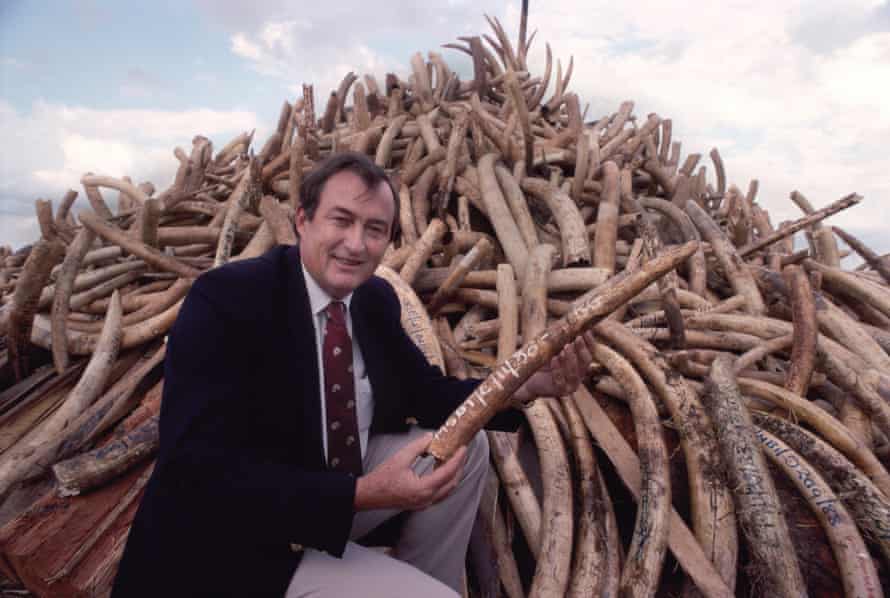 Paleontologas, archeologas ir gamtosaugininkas Richardas Leakey su dramblio kaulo krūva, kurią konfiskavo Kenijos vyriausybė, 1989 m. balandžio mėn.