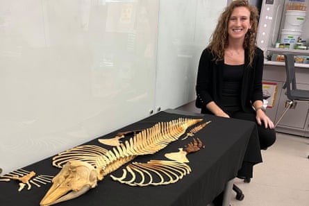 A woman stands next to a vaquita skeleton displayed on black cloth on a table.